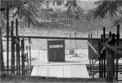 Image has been resized