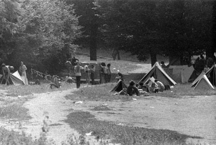 Image has been resized